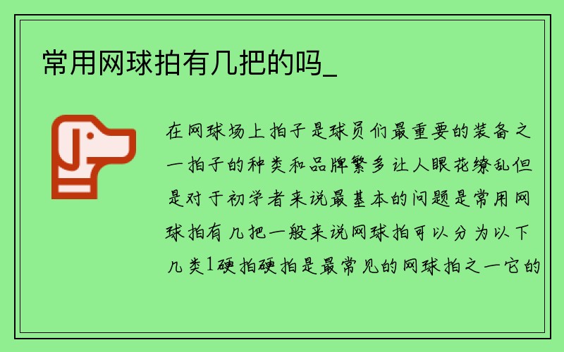 常用网球拍有几把的吗_