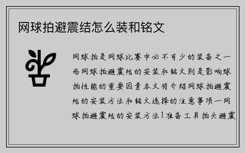 网球拍避震结怎么装和铭文