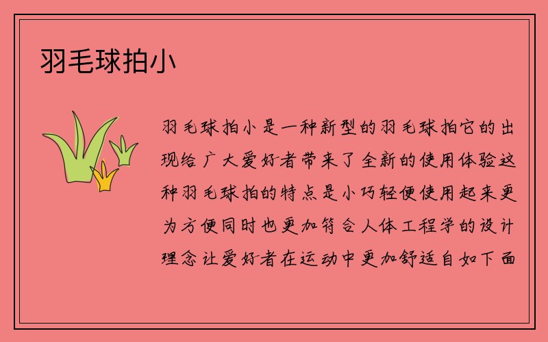 羽毛球拍小