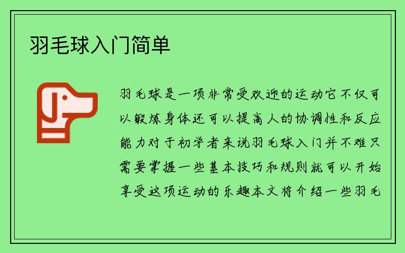 羽毛球入门简单