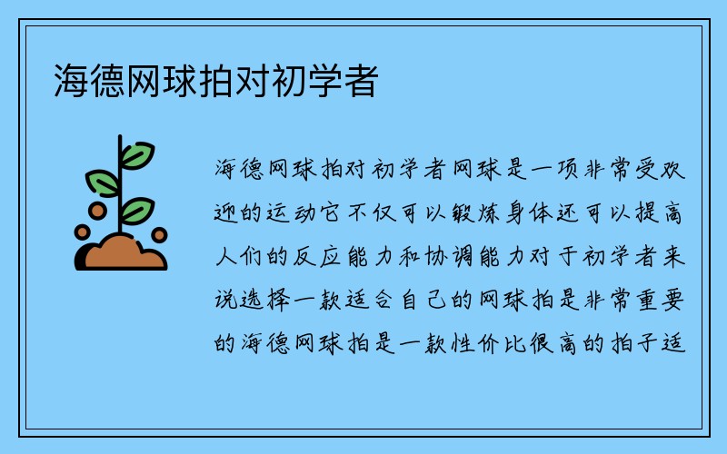 海德网球拍对初学者