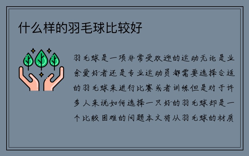 什么样的羽毛球比较好